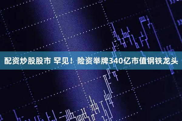 配资炒股股市 罕见！险资举牌340亿市值钢铁龙头
