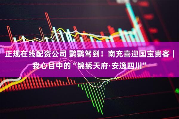 正规在线配资公司 鹮鹮驾到！南充喜迎国宝贵客｜我心目中的“锦绣天府·安逸四川”