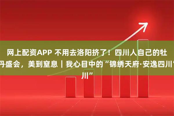 网上配资APP 不用去洛阳挤了！四川人自己的牡丹盛会，美到窒息｜我心目中的“锦绣天府·安逸四川”