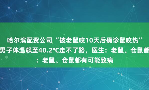 哈尔滨配资公司 “被老鼠咬10天后确诊鼠咬热”冲上热搜，男子体温飙至40.2℃走不了路，医生：老鼠、仓鼠都有可能致病