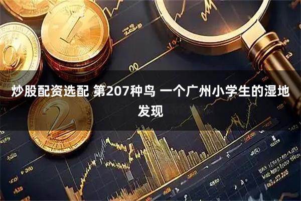 炒股配资选配 第207种鸟 一个广州小学生的湿地发现